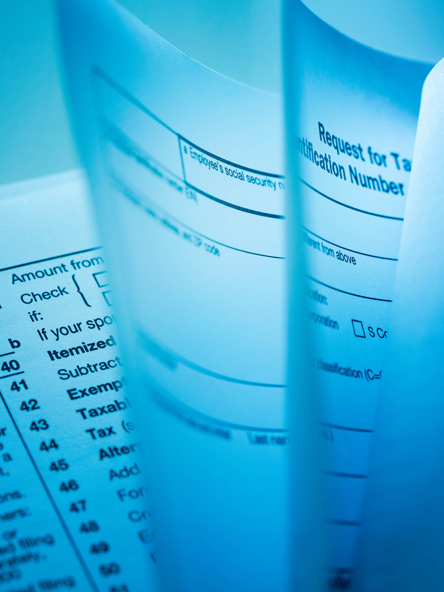 Accounting and tax preparation services